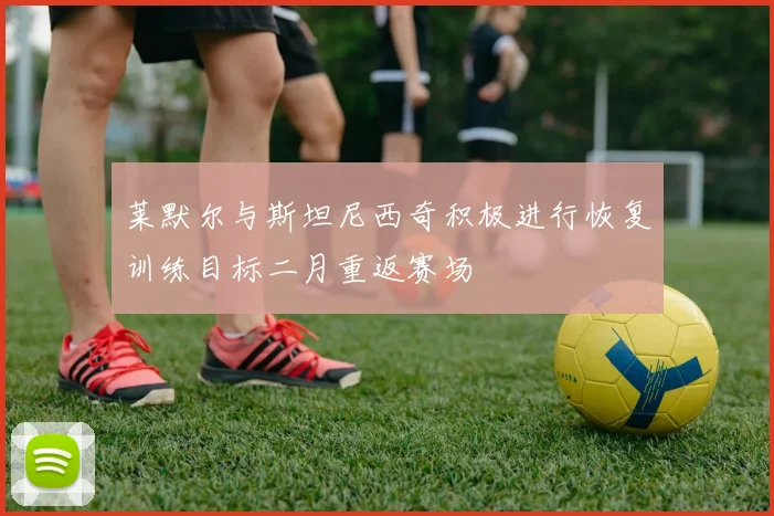 莱默尔与斯坦尼西奇积极进行恢复训练目标二月重返赛场
